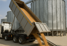 Grain by grain on the safe side