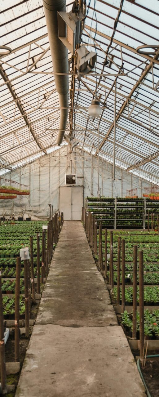 Greenhouse