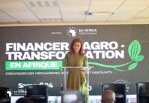 Financing Agribusiness in Africa: A Call-to-Action echoes from Abidjan to Brazil