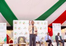 National Macadamia Conference: Stakeholders Call for Collaboration to Strengthen Value Addition and Local Consumption