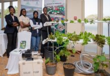 YEFFA Mozambique Empowers Youth in Agriculture, Charts Paths For Economic Resilience and Job Creation