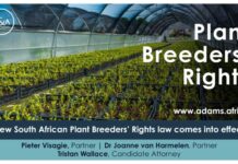 New South African Plant Breeders’ Rights law comes into effect