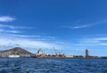 Study proves privatisation is key to unlocking efficiencies and trade competitiveness in SA ports