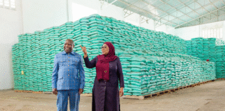 Study finds fertilizer subsidies alone may slow Tanzania’s long-term agricultural growth