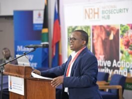 South Africa’s agricultural exports rise 10% to $4.1 billion in Q2 2026 – Wandile Sihlobo