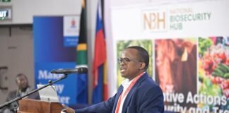 South Africa’s agricultural exports rise 10% to $4.1 billion in Q2 2026 – Wandile Sihlobo