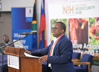 South Africa’s agricultural exports rise 10% to $4.1 billion in Q2 2026 – Wandile Sihlobo