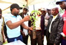 EPK Hosts its 13th Bi-Annual Farmers Day, Providing Training in Quality and Sustainable Tea Production