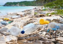 World Environment Day: CSOs Urge Urgent Action to End Plastic Pollution in Kenya