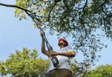 Perennial perfection: pruning secrets for lasting garden beauty