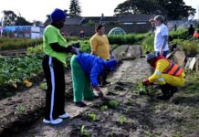 Mandela Day: Bellville Food Garden Digs into Change
