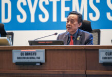 Time to accelerate the agrifood systems transformation