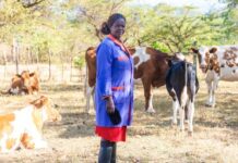 Swedfund invests USD 10 million to support MSME lending in East and Southern Africa