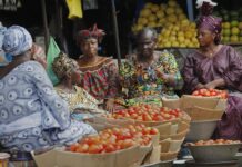 IFAD will advocate for investments in food systems transformation to reduce food insecurity and increase global stability at the UNFSS+4