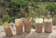 The Journey From Empowerment to Cooperative Building for International Day of Cooperatives