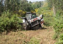Bobcat T86 Compact Track Loader Revolutionizes Deforestation at Bodegas Marqués de Vizhoja Vineyard in Spain