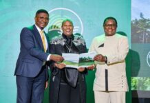 AGRA Launches Africa Digital Crop Variety Catalogue to Revolutionize Access to Improved Seeds -A First on the Continent.