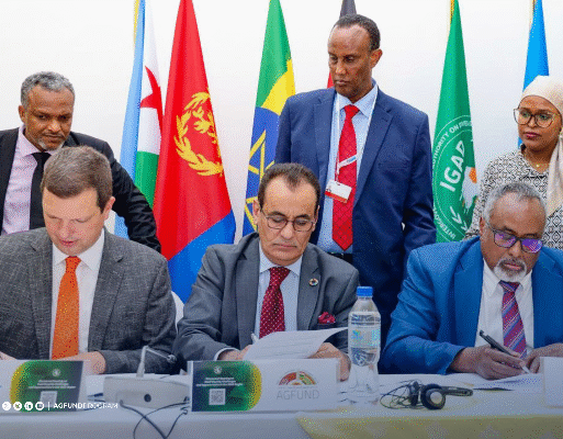 IGAD MoU