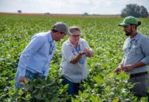 Driving Agricultural Innovation through Precision Breeding, Digital Technologies, and Sustainability