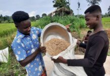 Opportunity International Agriculture Finance Programming Celebrates $500 Million Invested in Smallholder Agriculture in Sub Saharan Africa