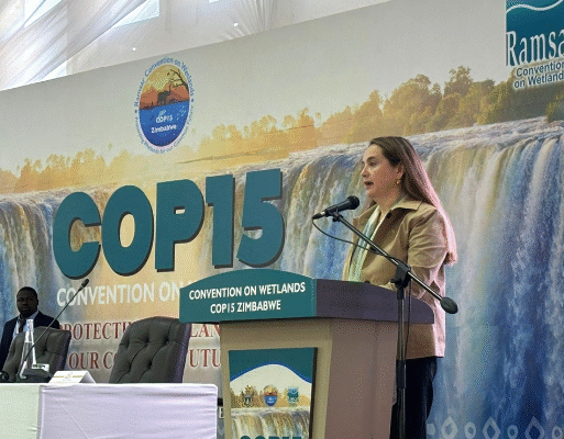 Ramsar COP15