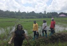 Regional Hub for Fertilizer and Soil Health using data science for nutrition recommendations to boost food productivity in West Africa and the Sahel