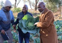MEC Madoda Sambatha embarks on District engagement with young people in Agriculture