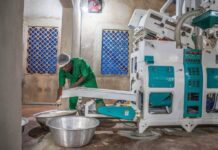 IFAD calls for urgent action to prioritize investment in rural people to transform global food systems