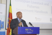New Investment Handbook Outlines Ethiopia’s Livestock and Fishery Potential