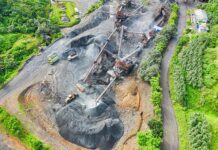 Green After the Gold: Farming Ventures on Africa’s Reclaimed Mining Lands