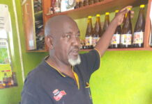 Kenya Scales Up Edible Oil Crop Farming to Slash Imports and Strengthen Rural Livelihoods