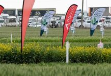 Discover Advanced Technologies for Enhanced Resource Management at NAMPO Cape 2025