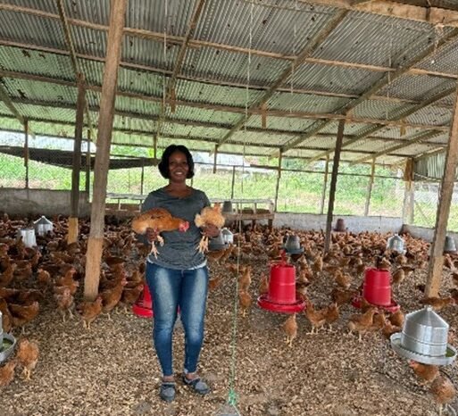 Poultry Farm in Ghana