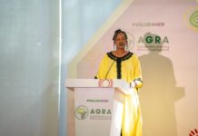 Value4her officially Launches in Senegal ahead of Africa Food Systems Forum