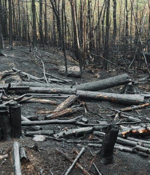 With less water available the risk of fires spreading increases especially in dry and windy conditions_ (002)