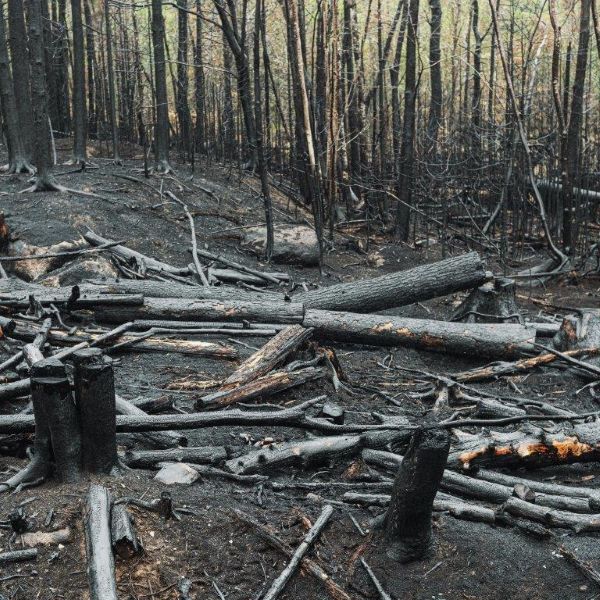 With less water available the risk of fires spreading increases especially in dry and windy conditions_ (002)