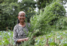 ILRI, partners develop radio and mobile communication solutions to aid Ethiopian farmers adopt climate-smart agriculture