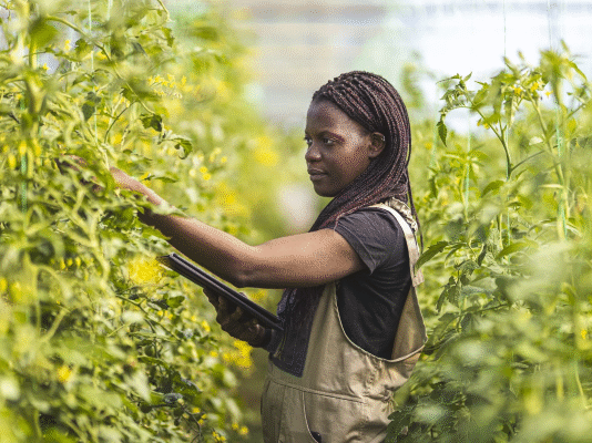 African Agriculture Holds Key to Global Sustainable Development