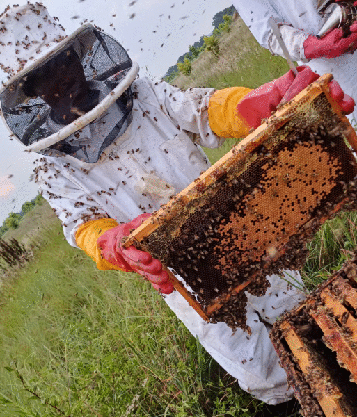 Beekeeping