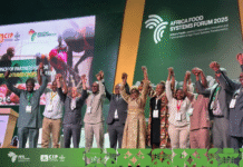 CIP, Partners Launch Root and Tuber Crops Initiative at Africa Food Systems Forum