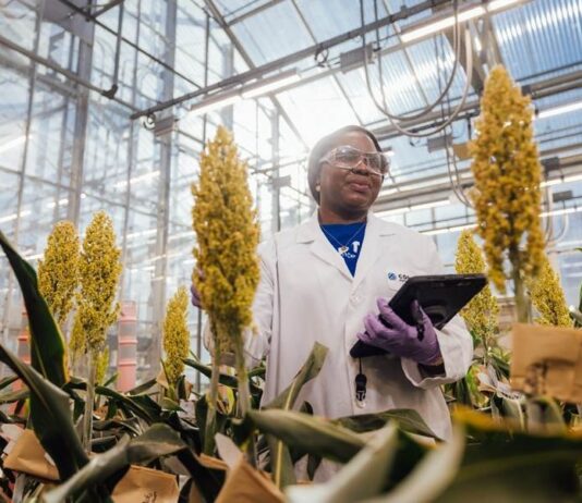Advancing agricultural research: Corteva’s strategic collaboration with research institutions in South Africa