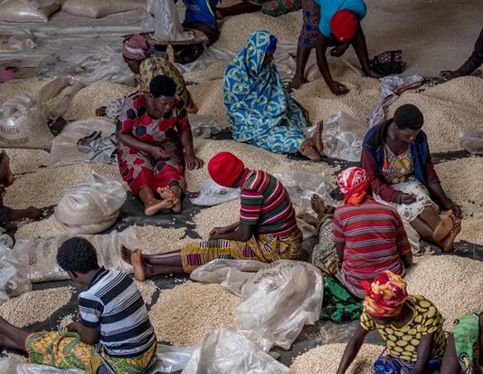 Rwandan farmers and private sector join forces to improve maize and soybean value chains for 4,000 smallholders