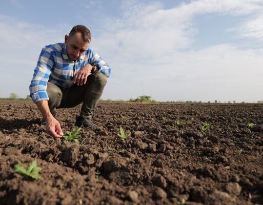 Many farmers own spot sprayers but often lack the tools to detect weeds SMALL (002)