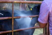 Spray and conquer: Maximising versatility