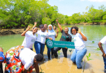 From the Ground Up: Youth and Women Driving Climate Leadership in Tanzania