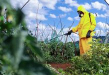 How can we make smallholder farming more sustainable, safer and secure to feed a growing world?