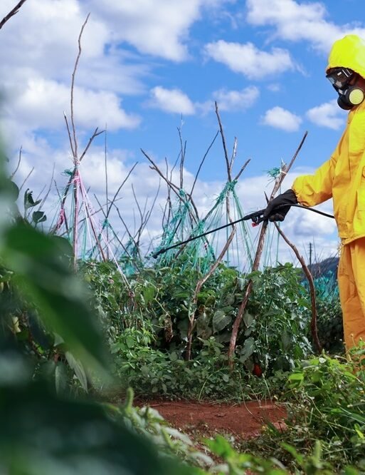 ssp spraying