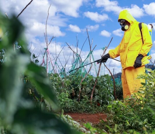 How can we make smallholder farming more sustainable, safer and secure to feed a growing world?