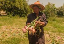 Cultivating Resilience, Sustaining Our Future