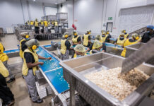 Significant trends that will shape the future of the macadamia industry